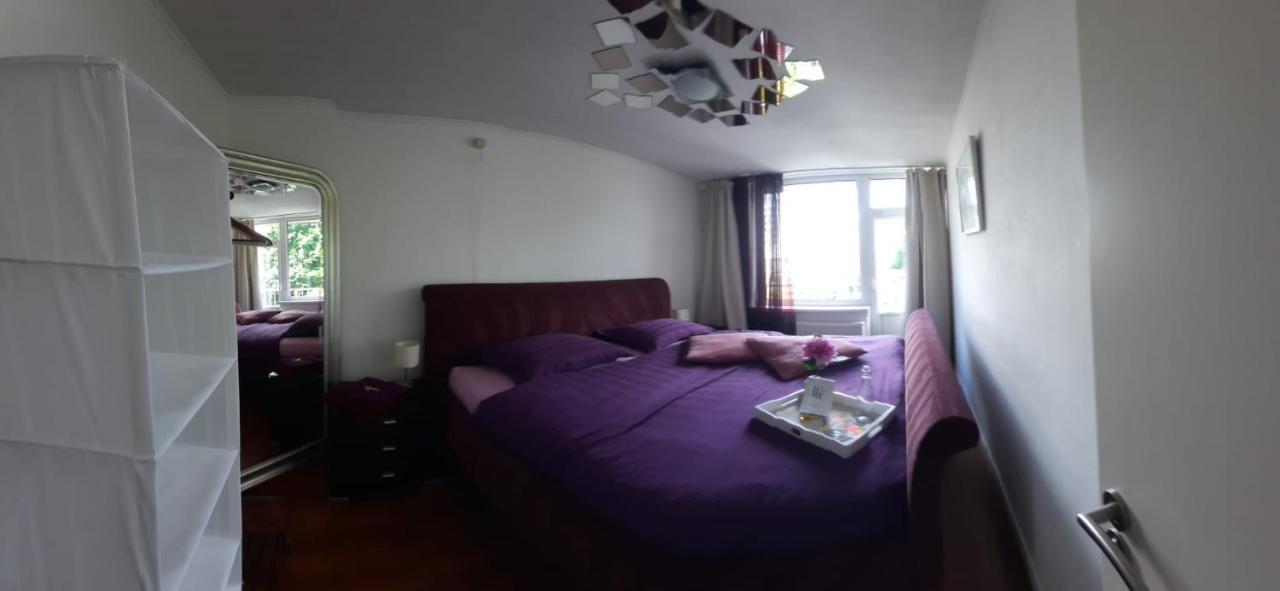 Sunny Guesthouse 암스테르담 외부 사진